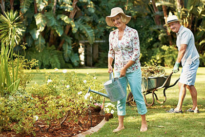 Watering of plants/ gardens